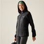 Regatta Clumber Hybrid Softshelljacke Damen