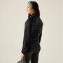 Regatta Clumber Hybrid Softshelljacke Damen