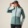 Regatta Softshelljacke Desoto f�r Damen mit Kapuze