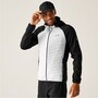 Regatta Hybrid Softshelljacke Andreson Herren