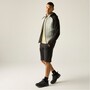 Regatta Hybrid Softshelljacke Andreson Herren