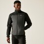 Regatta Steppjacke Ceden Hybrid fr Herren