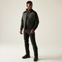 Regatta Steppjacke Ceden Hybrid fr Herren