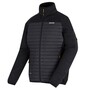 Regatta Steppjacke Ceden Hybrid fr Herren