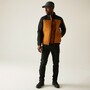 Regatta Steppjacke Ceden Hybrid f�r Herren