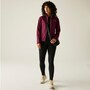 Regatta Softshelljacke Moutdale f�r Damen