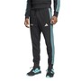 adidas Mercedes AMG Petronas Formel 1 Team DNA Jogginghose