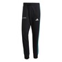 adidas Mercedes AMG Petronas Formel 1 Team DNA Jogginghose