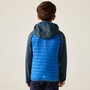 Regatta Hybrid Softshelljacke Andreson f�r Kinder