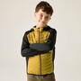 Regatta Hybrid Softshelljacke Andreson f�r Kinder