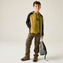 Regatta Hybrid Softshelljacke Andreson f�r Kinder