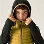 Regatta Hybrid Softshelljacke Andreson f�r Kinder