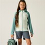 Regatta Hybrid Softshelljacke Andreson f�r Kinder