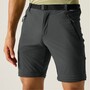 Regatta Zip Off Outdoorhose Herren XERT Stretch Z/O Trousers Kurzgr��e