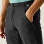 Regatta Xert Stretch Herren Outdoorhose mit G�rtel