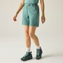 Regatta Mountain Shorts II f�r Damen