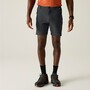 Regatta Mountain Shorts f�r Herren