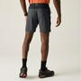 Regatta Mountain Shorts f�r Herren
