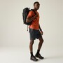 Regatta Mountain Shorts f�r Herren