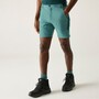 Regatta Mountain Shorts f�r Herren