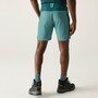 Regatta Mountain Shorts f�r Herren