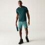 Regatta Mountain Shorts f�r Herren