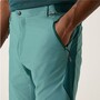 Regatta Mountain Shorts f�r Herren