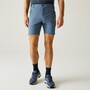 Regatta Mountain Shorts f�r Herren