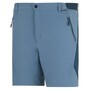 Regatta Mountain Shorts f�r Herren
