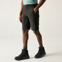 Regatta Wandershorts Highton II f�r Herren