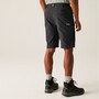 Regatta Wandershorts Highton II f�r Herren