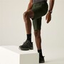 Regatta Wandershorts Highton II f�r Herren