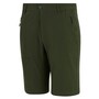 Dark Khaki