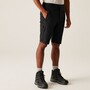 Regatta Wandershorts Highton II f�r Herren