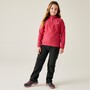 Regatta Zip Off Pant / Softshellhose f�r Kinder