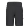 Icepeak Berwyn Outdoorhose kurz Herren