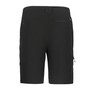 Icepeak Berwyn Outdoorhose kurz Herren