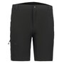 Icepeak Berwyn Outdoorhose kurz Herren