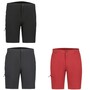 Icepeak Berwyn Outdoorhose kurz Herren