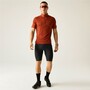 Dare 2b Radtrikot Herren kurzarm