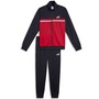 Puma Trainingsanzug Herren Poly Colorblock Suit