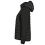 Icepeak Burlison Hybrid Steppjacke f�r Damen
