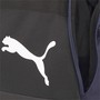 Puma teamGoal 23 Teambag M Sporttasche Training Fussball 076859