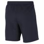 Nike Herren Hose Trainingshose TEAM CLUB 20 SHORTS  blau