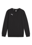 PUMA teamGOAL Casuals Crew Neck Jr Kinder Sweatshirt Pullover 658593 schwarz