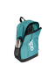 Adidas Sportswear Linear Rucksack JX9025 Powder Teal/Black/White 