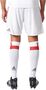 ADIDAS Herren Fu�ballshorts FC Bayern M�nchen UCL Saison 2017/18