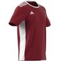 adidas Herren Entrada 18 Trikot