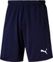 Puma Herren Fu�ballshorts Liga Training Shorts 