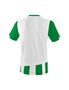 Erima Siena 3.0 Jersey Shortsleeve - smaragd/white